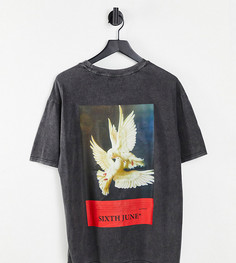 Серая выбеленная футболка в стиле oversized с принтом голубей на спине Sixth June-Серый