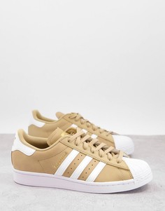 Бежевые кроссовки adidas Originals superstar-Светло-бежевый цвет