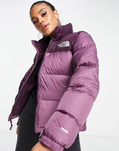 Фиолетовая куртка The North Face 1996 Retro Nuptse-Фиолетовый цвет