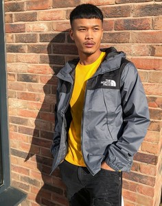Серая куртка The North Face 1990 Mountain Q-Серый