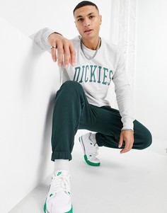 Серый свитшот Dickies Aitkin
