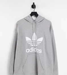 Серый худи с крупным логотипом adidas Originals Plus adicolor