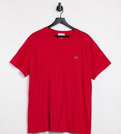 Красная футболка из хлопка пима с логотипом Lacoste-Красный