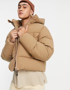Бежевый пуховик с капюшоном ASOS DESIGN-Светло-бежевый цвет