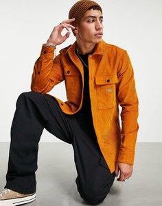 Вельветовая рубашка рыжего цвета Dickies Higginson-Оранжевый цвет