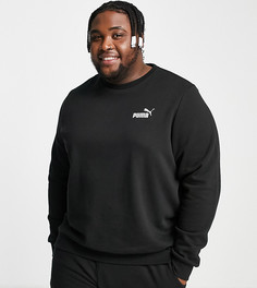 Черный свитшот с маленьким логотипом Puma PLUS Essentials-Черный цвет