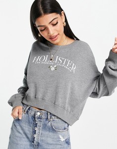 Серый свитшот с логотипом Hollister
