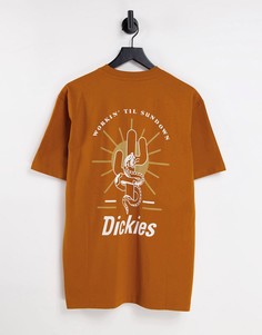 Футболка рыжего цвета с принтом на спине Dickies Bettles-Оранжевый цвет
