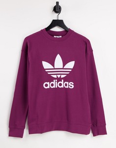 Свитшот малинового цвета с большим логотипом adidas Originals adicolor-Розовый цвет