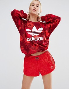 Свитшот с цветочным принтом и логотипом-трилистником adidas Originals-Красный