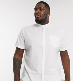 Белая оксфордская рубашка с короткими рукавами New Look Plus-Белый