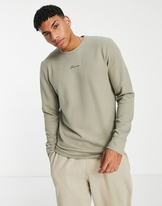 Бежевый свитшот с логотипом-надписью Jack & Jones Premium-Серый