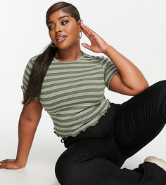 Укороченная кремовая футболка в полоску цвета хаки с волнистыми краями ASOS DESIGN Curve-Разноцветный
