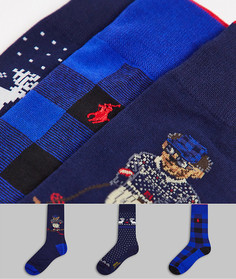 Новогодний подарочный набор из 3 темно-синих носков с принтом медведя Polo Ralph Lauren-Темно-синий