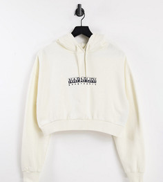 Светлый укороченный худи Napapijri Box – эксклюзивно на ASOS-Белый
