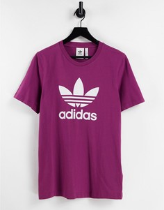 Сливовая футболка с большим логотипом adidas Originals adicolor-Фиолетовый цвет