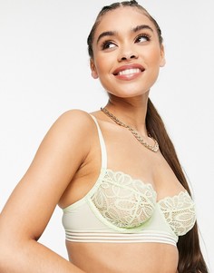 Шалфейно-зеленый кружевной бюстгальтер-балконет Missguided-Зеленый цвет