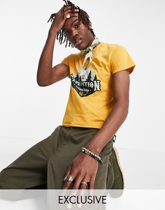 Оранжевая футболка с кроем в стиле ретро и рисунком с природой Reclaimed Vintage Inspired-Оранжевый цвет