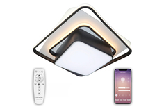 Светильник потолочный 81038 Natali Kovaltseva