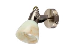 Спот Tulip Arte Lamp