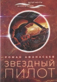 Книга Звездный пилот Городец Флюид