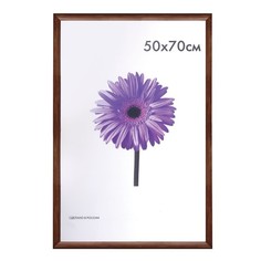 Рамка премиум 50х70 см, дерево, багет 26 мм, "Berta", орех, 0006-50-0006 No Brand