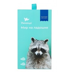 Мир на ладошке. Енот Умница