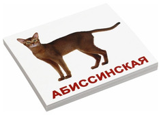 Набор обучающих карточек Вундеркинд с пеленок "Мини, Породы кошек"