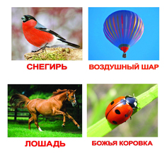 Развивающая игрушка Вундеркинд с пеленок Мои первые знания 40 шт.