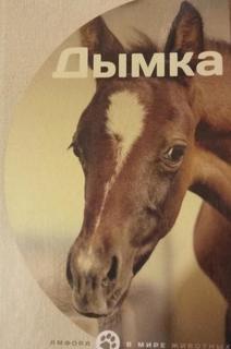 Дымка Амфора