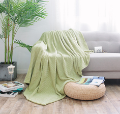 Плед велсофт "Royal plush" арт:RP-013 1.5 спальный Cleo