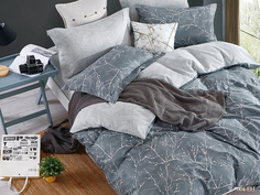 Постельное белье Cleo Asher (2 спал.)