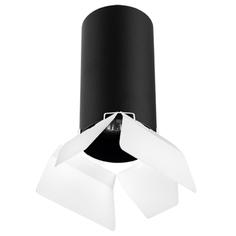 Светильник потолочный Lightstar Rullo, R6487486, 50W, G10