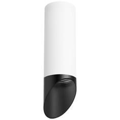 Светильник потолочный Lightstar Rullo, R48637, 50W, G10