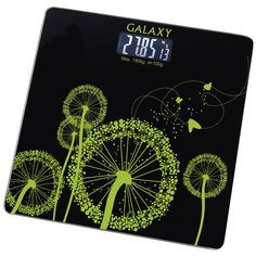 Весы напольные Galaxy GL4802