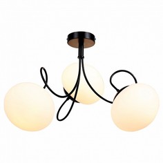 Люстра потолочная ST Luce SL717.402.03