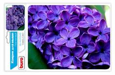 Коврик для мыши BURO BU-M20049 Flowers