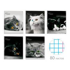 Тетрадь общая на гребне Альт А5 165 х 200 мм КОШКИ 80 л. клетка 7-80-129 обложка в ассорт
