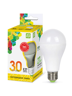 Лампочка ASD LED-A70x700Lm 4690612024639