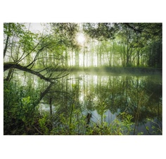 Пазл Schmidt 1000 деталей