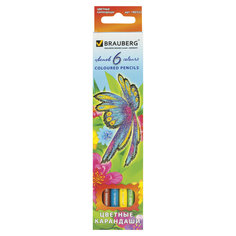 Карандаши цветные Brauberg "Wonderful butterfly", 6 цветов Greenwich Line