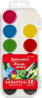 Краски акварельные BRAUBERG, 12 цветов, медовые, пластиковая коробка, без кисти Greenwich Line