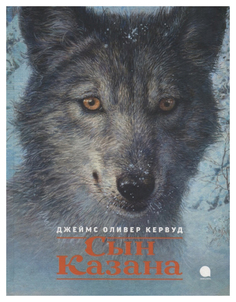 Книга Акварель Золотая полка. Сын Казана