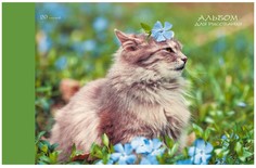 Альбом для рисования "Весенний кот", 20 листов Канц Эксмо