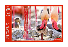 Пазлы Рыжий кот Фламинго 1000 элементов