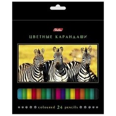 Карандаши цветные Hatber 24 цвета. Дикий мир. С заточкой