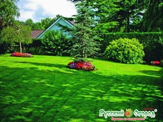 Семена. Газон "Старый парк", для тени (вес: 30 г) Русский огород