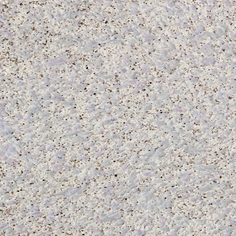 Жидкие обои Silk Plaster SLP-20 Престиж 406
