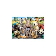 Пазл Educa 300 деталей