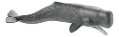 Schleich Фигурка Schleich Wild Life Кашалот длина 23,5 см 14764